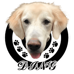 [LINEスタンプ] DingDing Day (2)