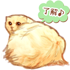 [LINEスタンプ] タマ 実写風猫スタンプ