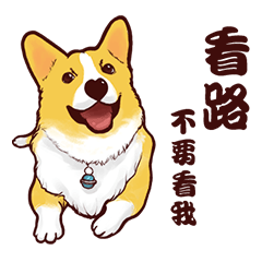 [LINEスタンプ] Corgi want to say