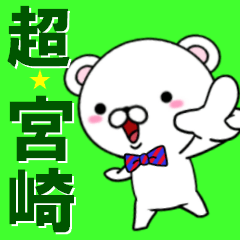 [LINEスタンプ] 超★宮崎(みやざき・ミヤザキ)なクマの画像（メイン）