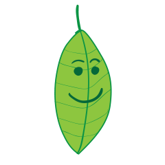 [LINEスタンプ] 葉っぱの命