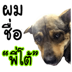 [LINEスタンプ] My name's P'TO