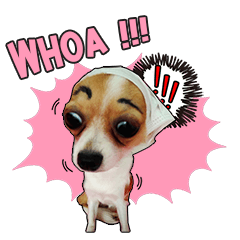 [LINEスタンプ] PUPPY MUNNE
