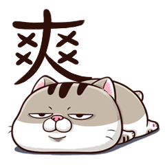 [LINEスタンプ] A cute little cat is so fatの画像（メイン）