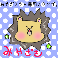 [LINEスタンプ] みやざきさん専用スタンプの画像（メイン）