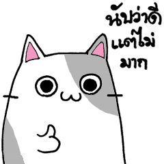 [LINEスタンプ] KAOMAEW : The Bad Cat