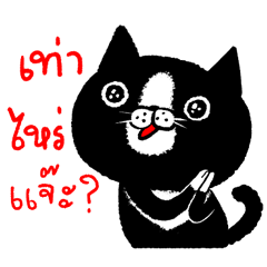 [LINEスタンプ] shopaholic cat