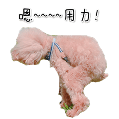 [LINEスタンプ] poodle yakult