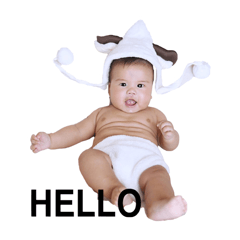 [LINEスタンプ] Little Cash's World